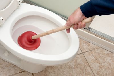 Avoid the Embarrassment of a Clogged Toilet!