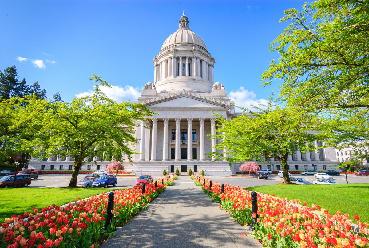 Olympia Home Services